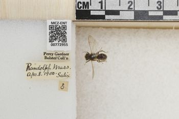 Media type: image;   Entomology 772955 Aspect: Labels